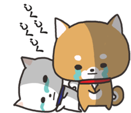 Daily life of the Japanese Shiba inu sticker #2356411