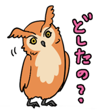 2 Owls sticker #2357687