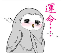 2 Owls sticker #2357690