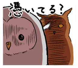 2 Owls sticker #2357703