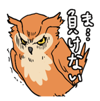 2 Owls sticker #2357704