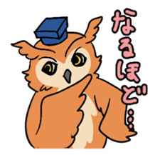 2 Owls sticker #2357717