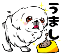 Pekingese Sticker sticker #2357761