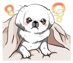 Pekingese Sticker sticker #2357782