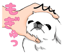 Pekingese Sticker sticker #2357787