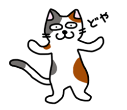 Daily of the calico cat sticker #2359160