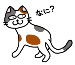 Daily of the calico cat sticker #2359161