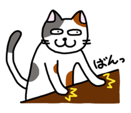 Daily of the calico cat sticker #2359162