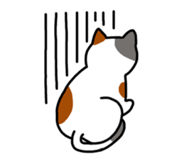 Daily of the calico cat sticker #2359164