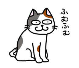 Daily of the calico cat sticker #2359165