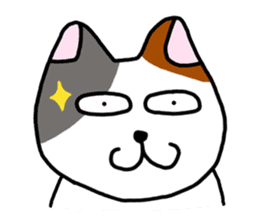 Daily of the calico cat sticker #2359168