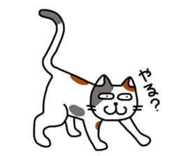 Daily of the calico cat sticker #2359171