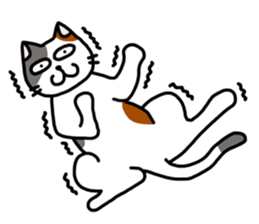 Daily of the calico cat sticker #2359172