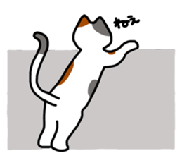 Daily of the calico cat sticker #2359174