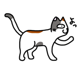 Daily of the calico cat sticker #2359175