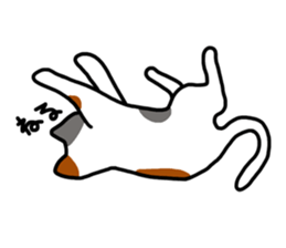 Daily of the calico cat sticker #2359176
