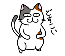 Daily of the calico cat sticker #2359178