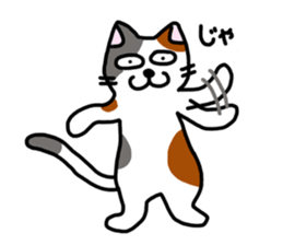 Daily of the calico cat sticker #2359181