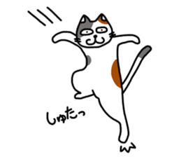 Daily of the calico cat sticker #2359183
