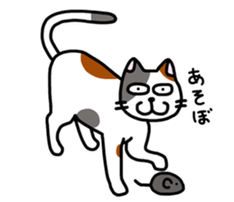 Daily of the calico cat sticker #2359186