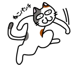 Daily of the calico cat sticker #2359187