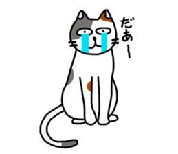 Daily of the calico cat sticker #2359190