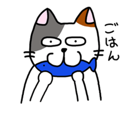 Daily of the calico cat sticker #2359191