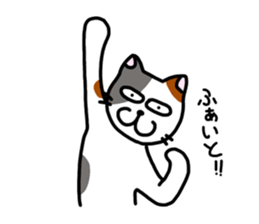 Daily of the calico cat sticker #2359193