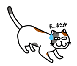 Daily of the calico cat sticker #2359195