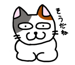 Daily of the calico cat sticker #2359198