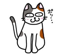 Daily of the calico cat sticker #2359199