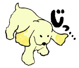 American Cocker Spaniel sticker #2359742