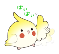 Cockatiel - Luna sticker #2363064