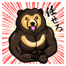 Sun bear 's Sticker. sticker #2363205