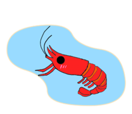 Shrimp sticker sticker #2368120