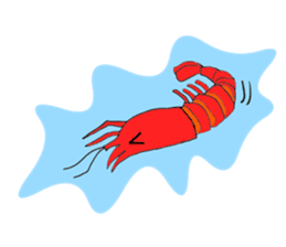 Shrimp sticker sticker #2368122