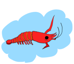 Shrimp sticker sticker #2368132