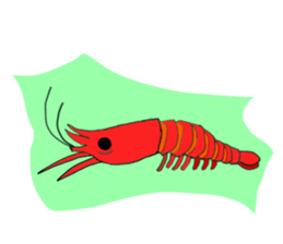 Shrimp sticker sticker #2368133
