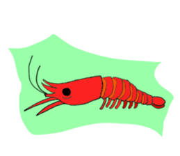 Shrimp sticker sticker #2368133