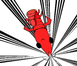 Shrimp sticker sticker #2368140