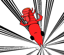 Shrimp sticker sticker #2368140