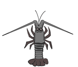Shrimp sticker sticker #2368159