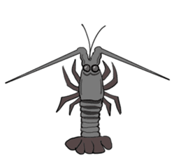 Shrimp sticker sticker #2368159
