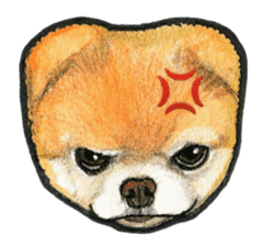Pomeranian Sticker sticker #2369607