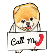 Pomeranian Sticker sticker #2369628