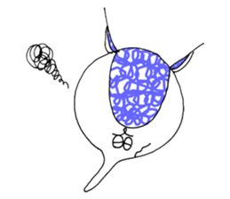 armadillo sticker #2371510