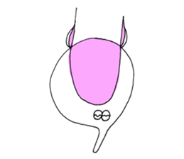 armadillo sticker #2371523