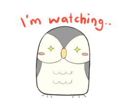 Hooty - the cute owl - grey color set sticker #2371661