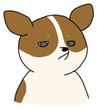 Chihuahua Mi sticker #2372631