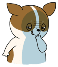 Chihuahua Mi sticker #2372643